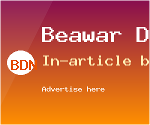 BDN Demo · In-article banner (300×250)