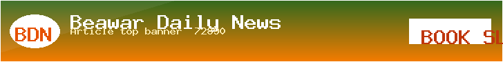 BDN Demo · Article top banner (728×90)