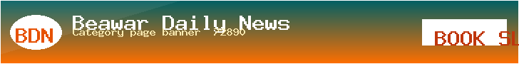 BDN Demo · Category page banner (728×90)