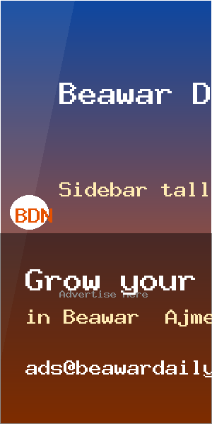 BDN Demo · Sidebar tall (300×600)