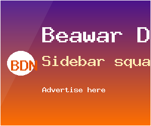 BDN Demo · Sidebar square (300×250)